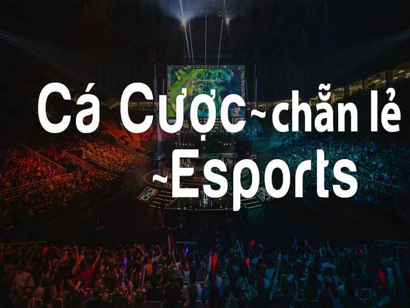 Kèo chẵn lẻ là gì và cách set kèo chẵn lẻ cực chuẩn